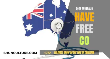 Australia's Internet Access: Free or Fee?