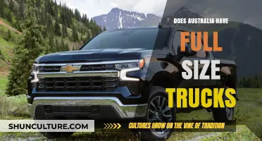 Australia's Full-Size Truck Options: What's Available?