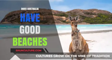 Australia's Beaches: Paradise or Not?