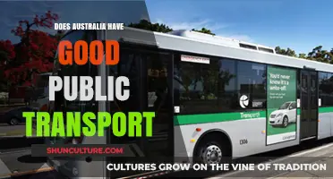 Exploring Australia's Public Transport: Efficient or Not?