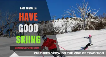 Skiing in Australia: Is It Any Good?