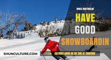 Snowboarding in Australia: Is It Worth It?
