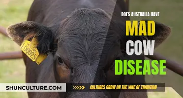 Australia's Mad Cow Disease Status: What's the Risk?