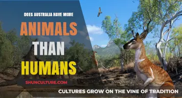 Australia's Wildlife: More Animals than Humans?