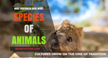 Australian Wildlife: A Diverse Species Haven