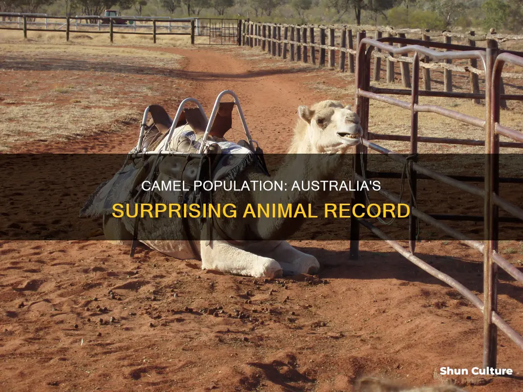 does australia have the largest population of camels