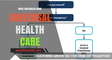 Australia's Public Health System: Universal Care?