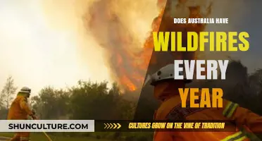 Annual Wildfire Reality: Australia's Yearly Battle with Bushfires Explained