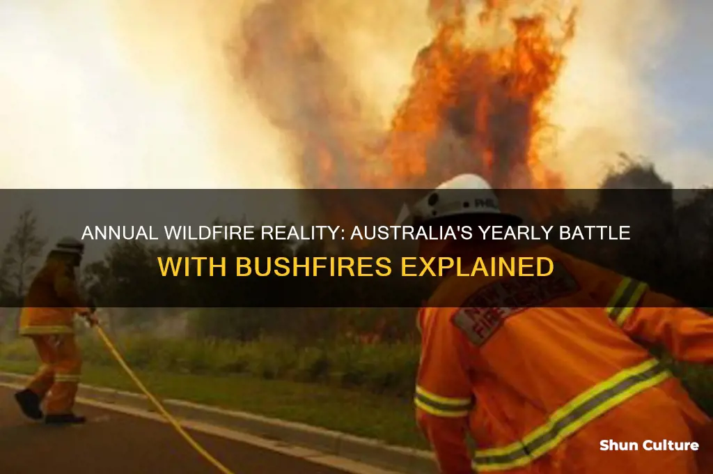 does australia have wildfires every year