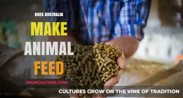 Animal Feed: Australia's Surprising Manufacturing Industry