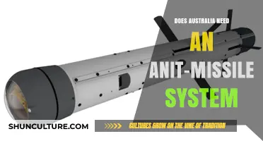 Should Australia Invest in Anti-Missile Defense Systems for National Security?