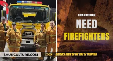 Australia's Firefighter Crisis: Essential or Redundant in a Changing Climate?
