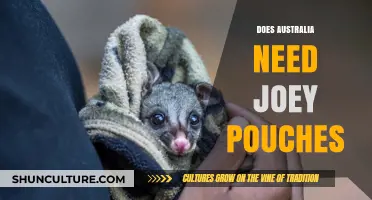 Joey Pouches in Australia: A Lifeline or Unnecessary Intervention?
