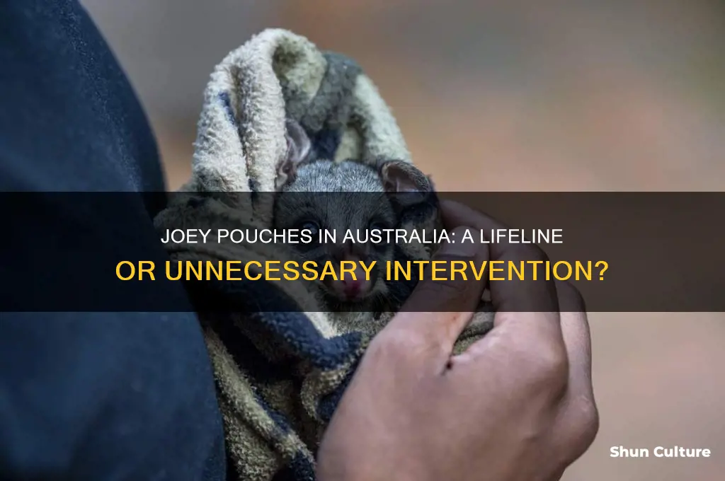 does australia need joey pouches