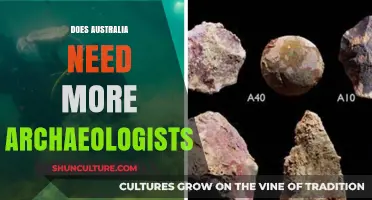 Uncovering Australia's Past: The Growing Need for Archaeologists Down Under
