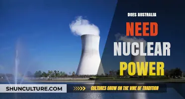 Nuclear Power in Australia: A Necessary Energy Shift or Risky Move?
