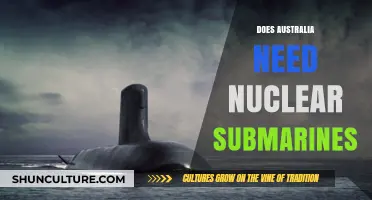 Australia's Nuclear Submarine Debate: Strategic Necessity or Costly Overreach?