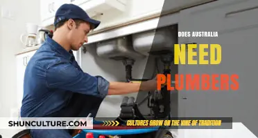 Why Australia Desperately Needs Skilled Plumbers: A Critical Analysis