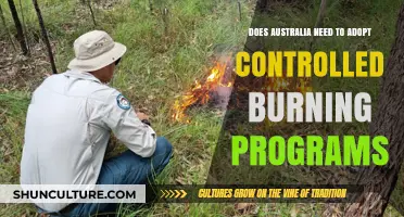 Controlled Burning in Australia: A Necessary Strategy for Bushfire Prevention?