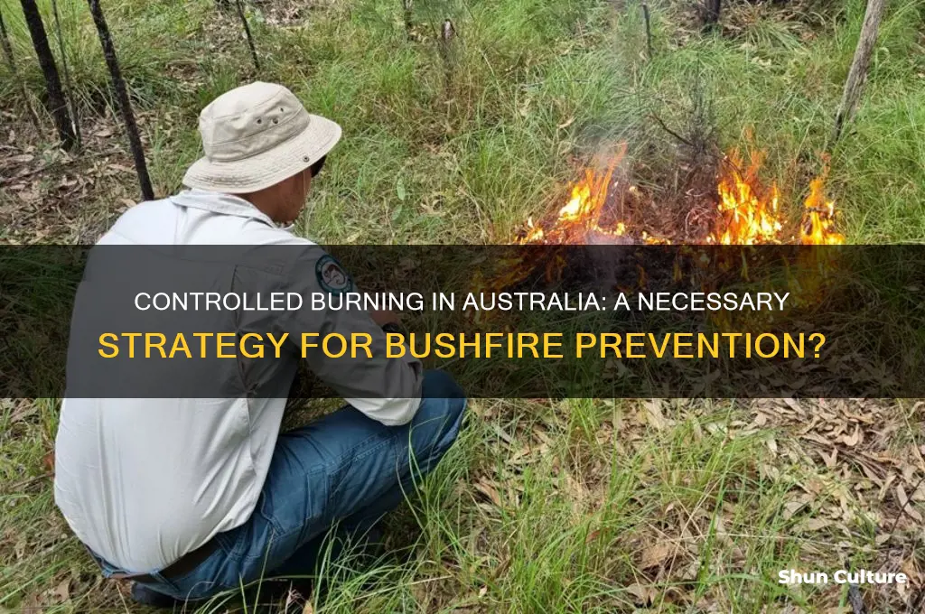 does australia need to adopt controlled burning programs
