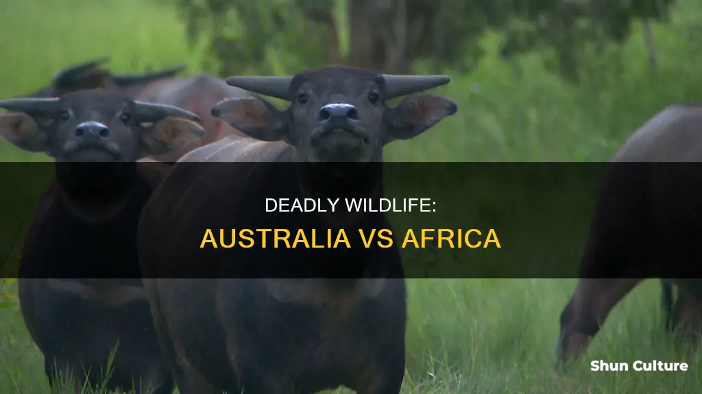 does australia or africa have more dangerous animals