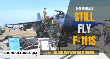 The F-111's Legacy in Australia's Skies: Past or Present?