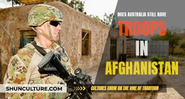 Australian Troops in Afghanistan: A Lingering Presence or a Faded Legacy?