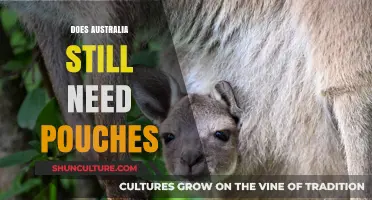 Do Australian Marsupials Still Need Pouches? A Modern Perspective