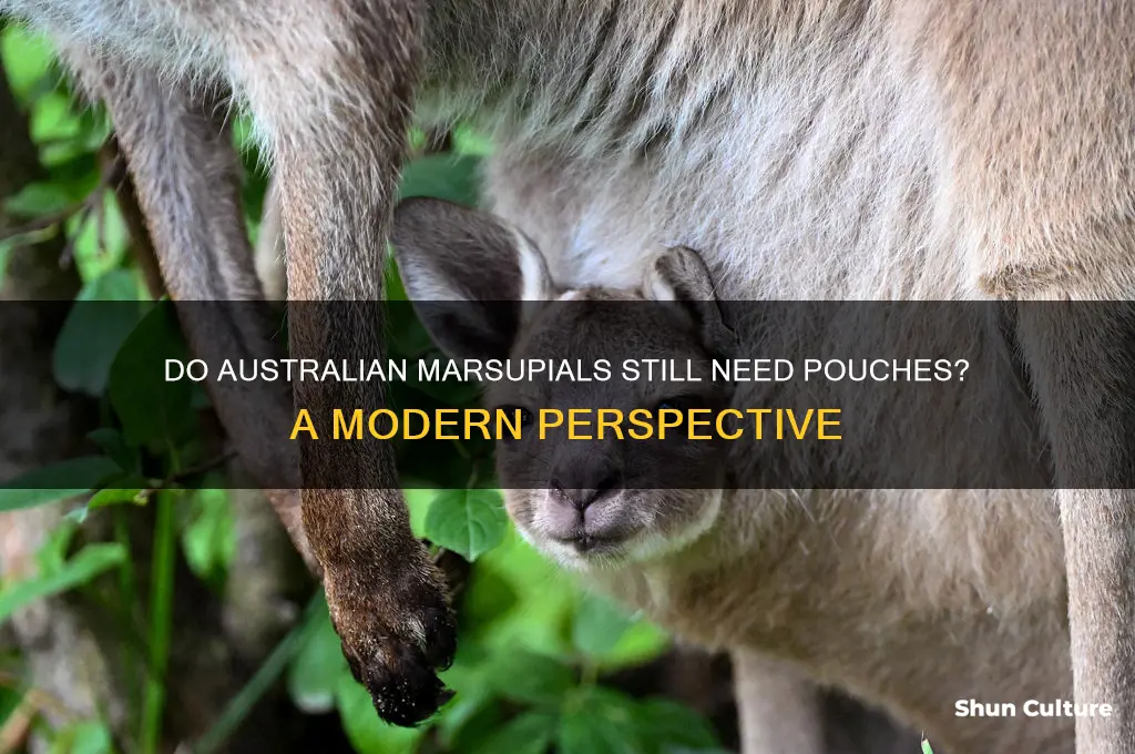 does australia still need pouches