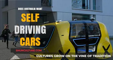 Self-Driving Cars: Australia's Interest and Concerns