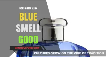 Australian Blue Cypress: A Fragrant Wonder