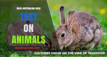 Australian Gold: Animal Testing Policy Explained