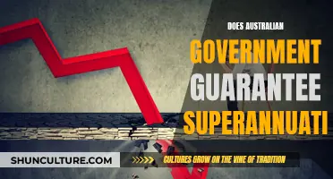 Superannuation Security: Is the Australian Government Guarantee Enough?