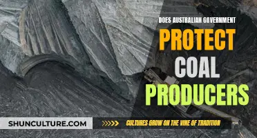Australian Government: Coal Producers' Ally or Adversary?