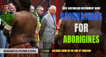 Australian Government and Aboriginal Reparations: A Complex Issue