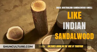 Australian vs Indian Sandalwood: What's the Scent Difference?