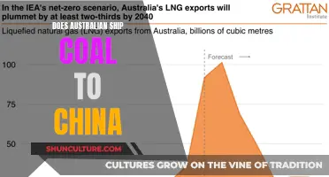 The Coal Trade: Australia and China's Relationship