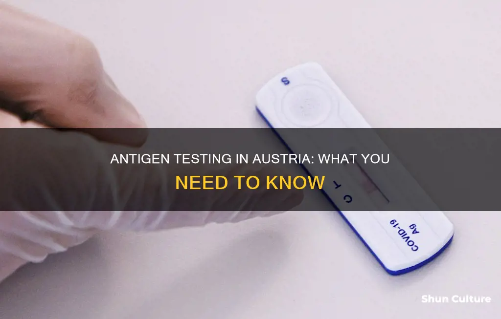 does austria accept antigen test