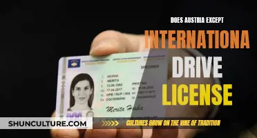 International Driving in Austria: Accepted Licenses and Rules