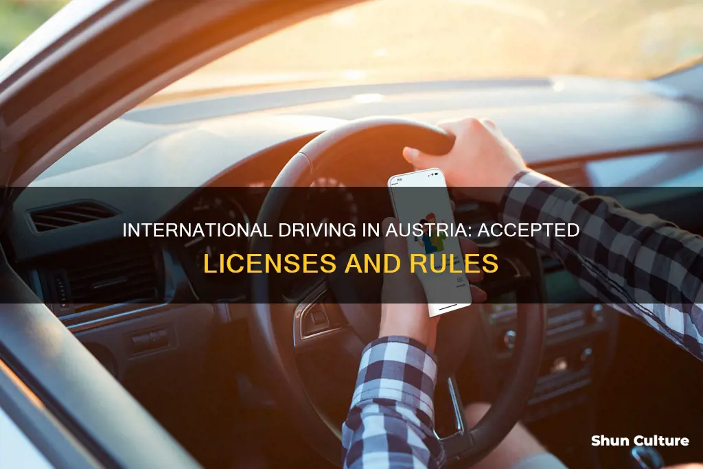 does austria except international drive license