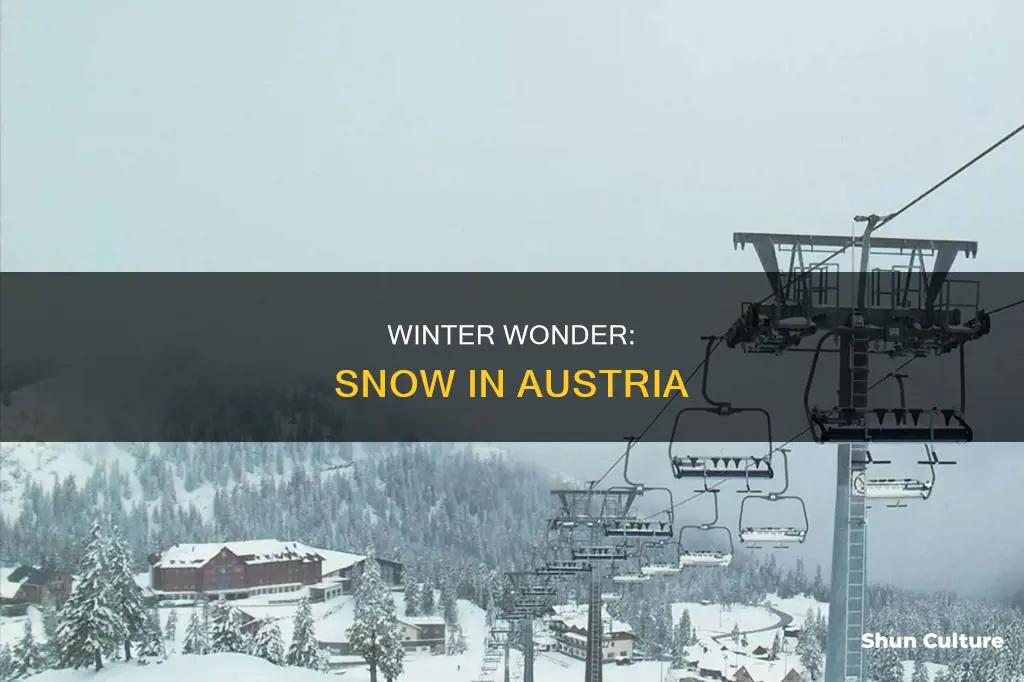 does austria get snow