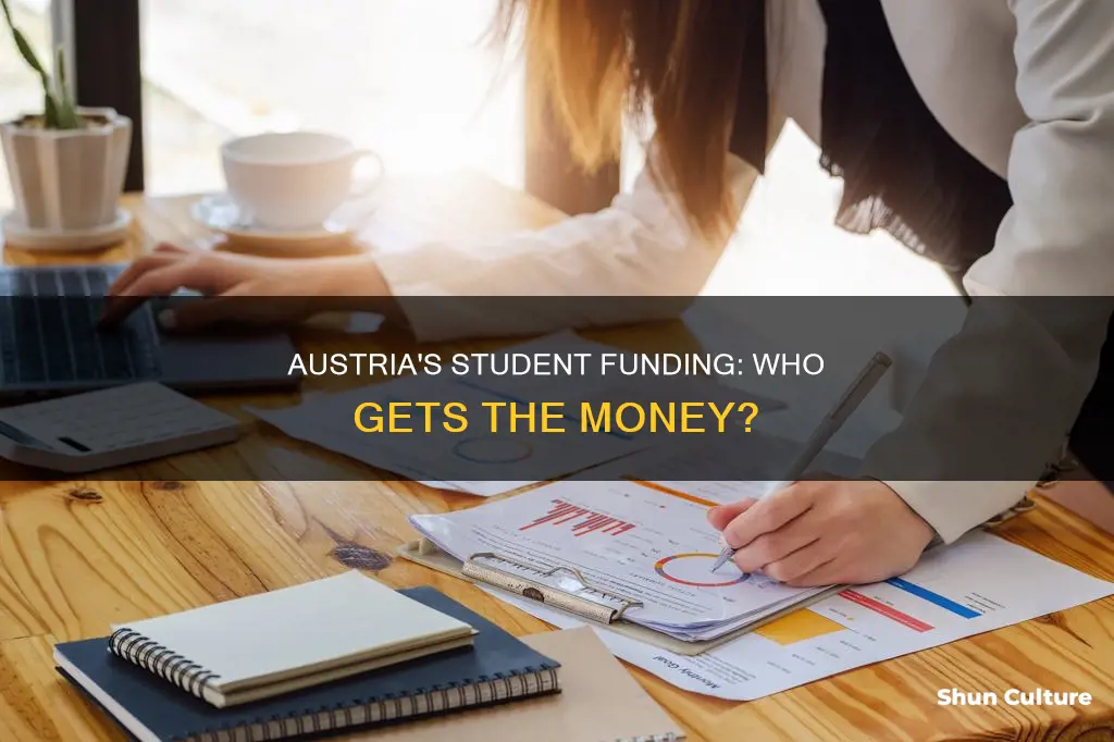 does austria give money to students