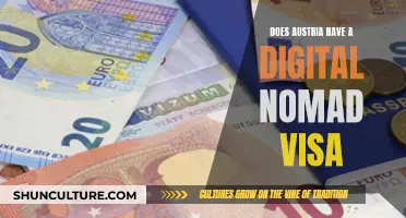 Austria's Digital Nomad Visa: What You Need to Know