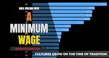 Austria's Minimum Wage: Is It Enough?