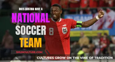 Austria's National Soccer Team: Does It Exist?