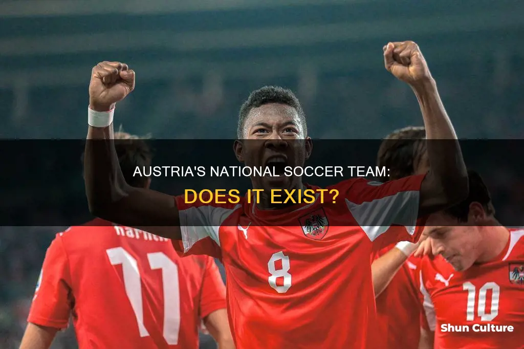 does austria have a national soccer team