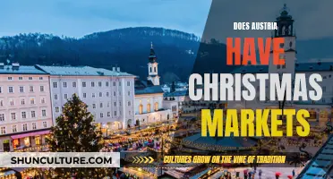 Christmas Market Magic in Austria: A Festive Adventure