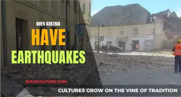 Earthquakes in Austria: A Rare Occurrence?