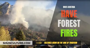 Austria's Forest Fire Risks: What You Need to Know