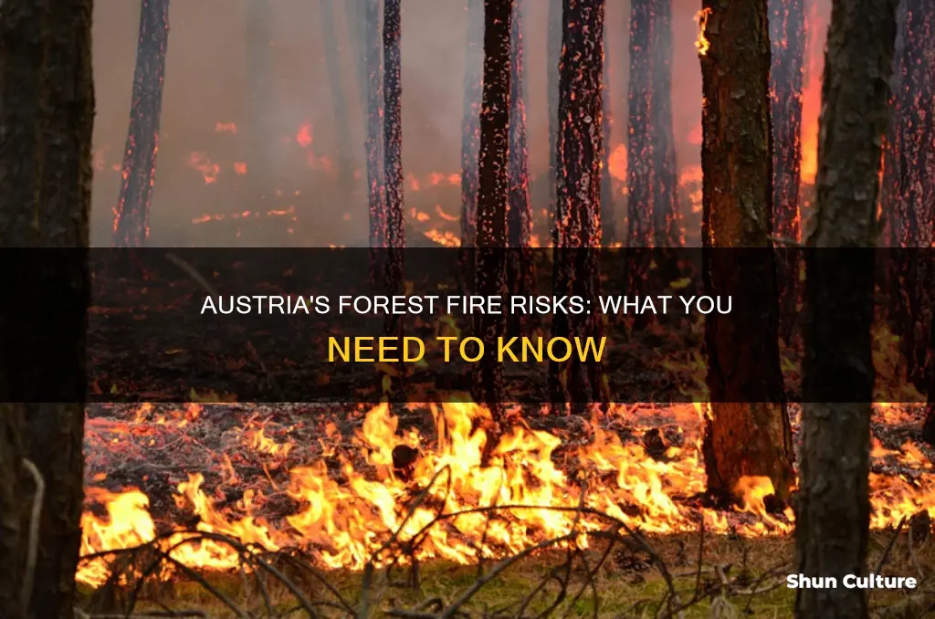 does austria have forest fires